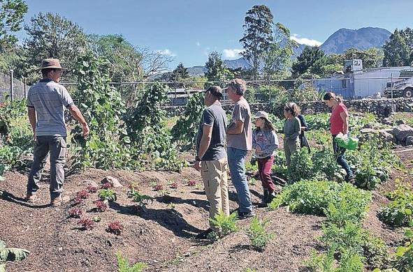 Agricultura orgánica en el distrito de Tierras Altas en la provincia de Chiriquí.