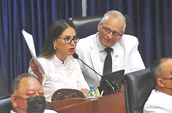 La diputada Zulay Rodríguez del PRD votó por Adames, pero le pidió discutir proyectos para rebajar los precios de las medicinas, los intereses bancarios y el congelamiento del precio del combustible.