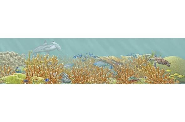 Un arrecife antes del impacto humano hace 7 mil años (arriba), con abundancia de fósiles. Abajo, un arrecife degradado de la bahía de Almirante, en Bocas del Toro.