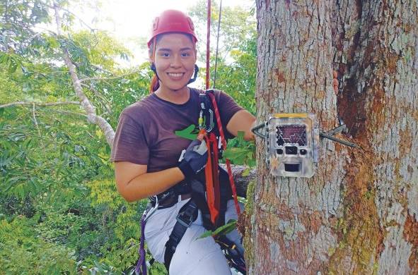 Carolina Mitre Ramos es estudiante tesista de biología con orientación en zoología de la Universidad de Panamá.
