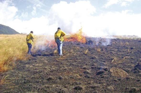 En lugares donde hay riesgo potencial de incendios en masas vegetales, es fundamental que se realicen acciones previas para minimizar los daños.