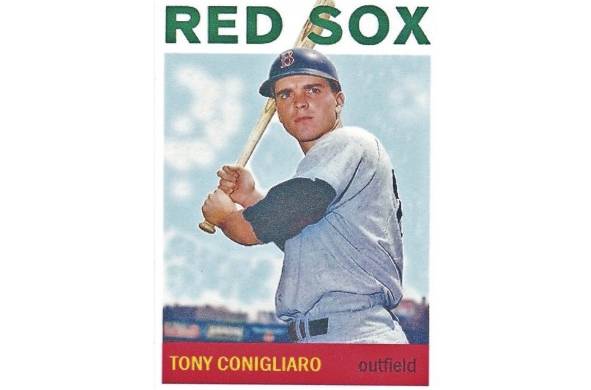 Jugó en las Grandes Ligas de Béisbol como jardinero y bateador para los clubes Boston Red Sox y California Angels.