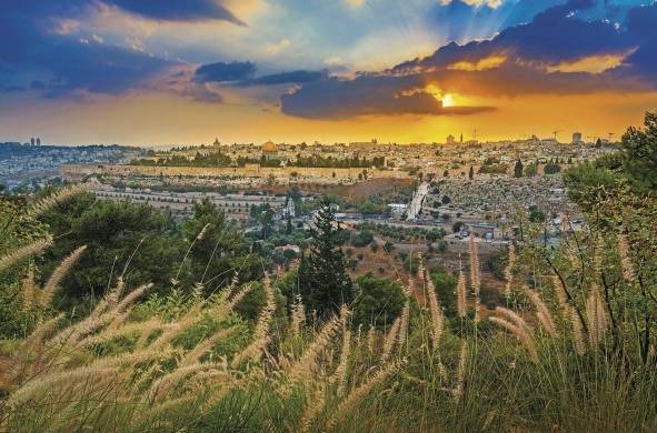La 'petrificación de Jerusalén' se da a partir del plan maestro de 1955, el cual organizaba la parte israelí de la ciudad en anillos en los cuales el uso de la roca era requerido en diferente grado