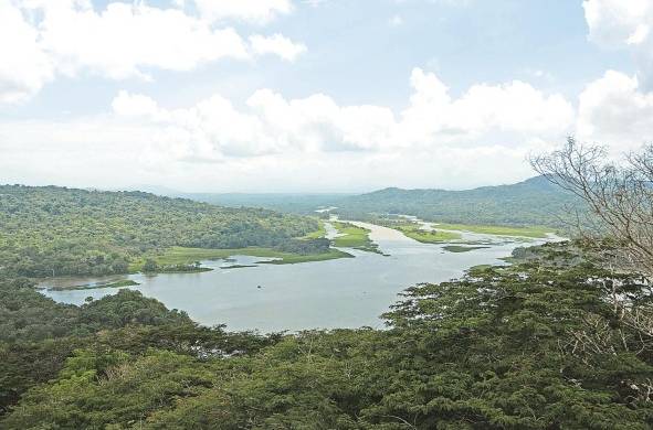 La cuenca alta del Canal de Panamá la forman los ríos Boquerón, Pequení y el Chagres, este último formado por otros afluentes como el río Piedras y el río Chico.
