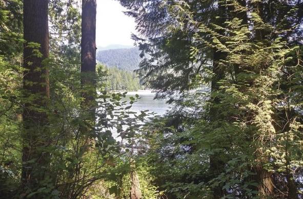Vancouver, entre aventuras, academia y desafíos salvajes