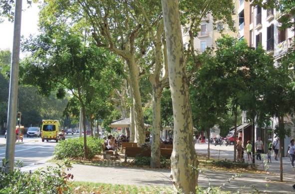 Ejemplo de arborización inteligente en Barcelona. Se utilizan varios niveles de arborización en una misma zona para aumentar la superficie sombreada.