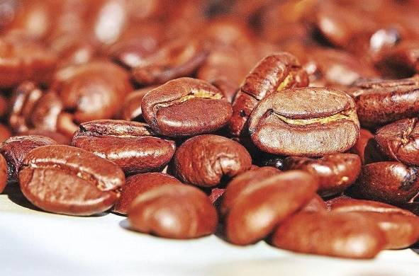 El catuaí es una variedad de café arábica.