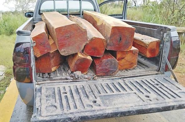 El 'pick up' con nueve tucas de cocobolo trasladó la madera al patio de una empresa en Pacora.