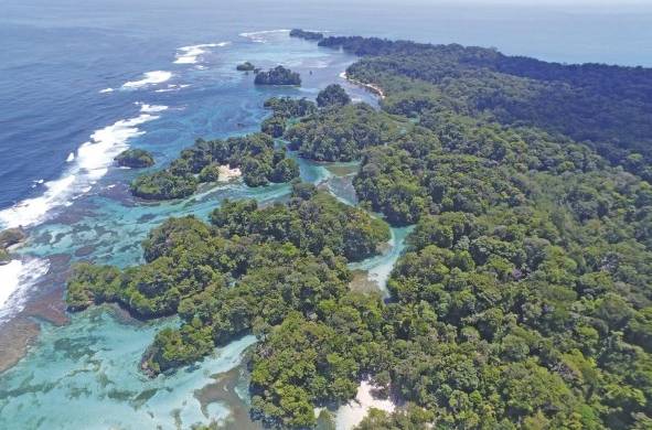 Los bosques, manglares y las playas de la isla Escudo de Veraguas son el hábitat de especies endémicas.