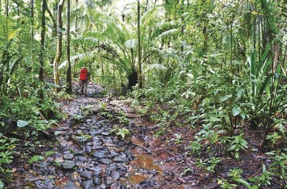 Panamá avanza para incluir la Ruta Transístmica en lista de Patrimonio Mundial