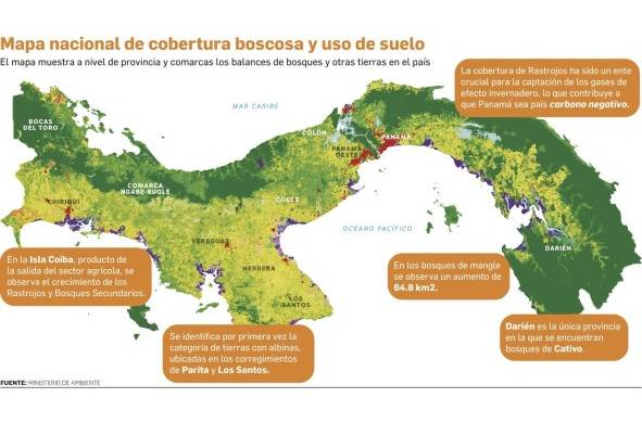 Una guía hacia el uso sostenible y eficiente de los recursos forestales del país
