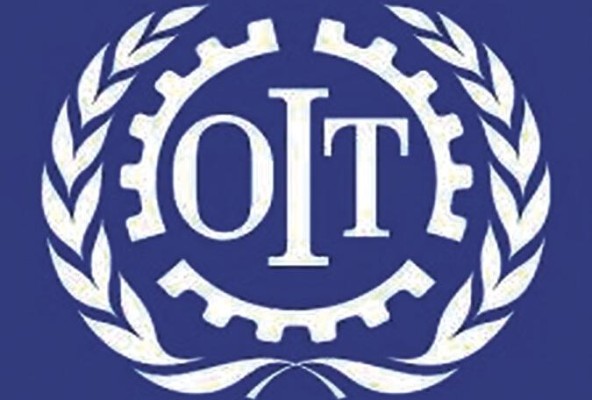 La OIT cuenta con experiencia y especialistas.