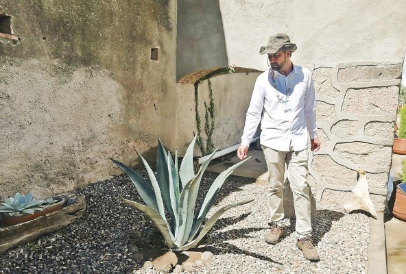 El mezcal, un elixir de San Luis Potosí con toque ancestral