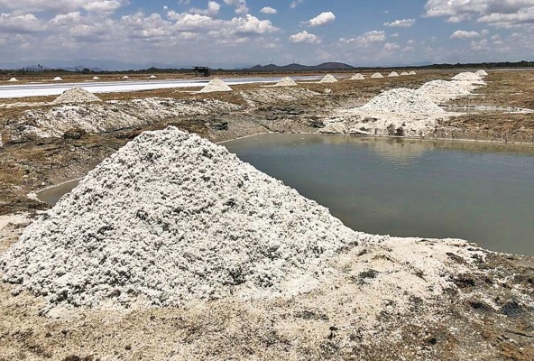 Aguadulce posee cientos de hectáreas de albinas dedicadas a la extracción de sal del agua de mar conocidas como Las Salinas.