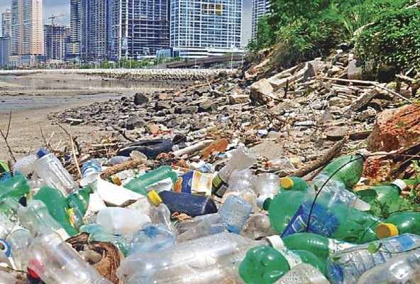 En Panamá ya hay estudios que revelan la existencia de microplásticos en la fauna marina.