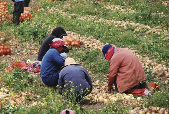 Según la FAO, antes de la pandemia el hambre en la región afectaba a 47 millones de personas.
