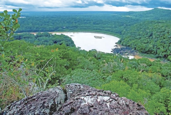 Adentrados en la selva del Guaviare, el equipo de las Fuerzas Militares de Colombia se encuentra buscando a su can policial, Wilson.