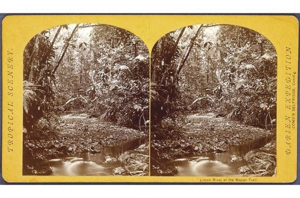 Paisajes tropicales, río Limón en el sendero Napipi, expedición a Darién, Panamá, 1871. The New York Public Library.