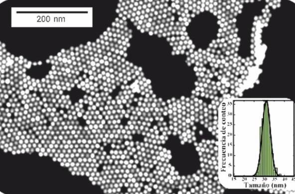 Nanopartículas de tierras raras que sirven para aplicaciones biomédicas, sintetizadas en el Indicasat AIP. Imagen tomada en el instituto.