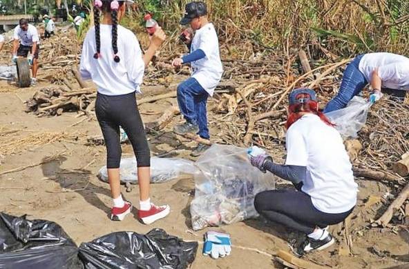 Diversas empresas y grupos ambientalistas realizan jornadas de limpieza de playas en las que recogen toneladas de basura, incluyendo objetos plásticos.