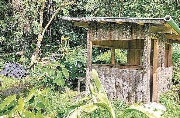 Observatorio escondido de aves en Reserva Natural Privada Mount Totumas Cloud Forest &amp; Eco Lodge, en zona de amortiguamiento del Parque Internacional La Amistad, Los Pozos de Volcán, distrito de Tierras Altas en la provincia de Chiriquí, región occidental de Panamá