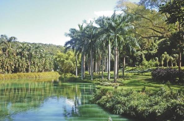 Jardines del Parque Inhotim, Brumadinho, Minas Gerais, Brasil.