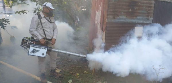 Fumigación para prevenir el dengue.