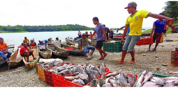 Los integrantes del Movimiento de la Pesca Artesanal 2022 reconocen que los trabajadores tienen derecho a huelga.