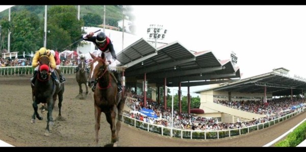 Se estima que los costos de la decisión de devolver a los ocho pura sangres a Estados Unidos ronda los 100 mil dólares,