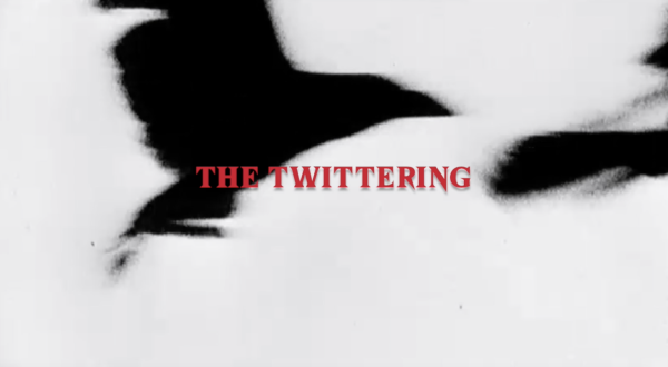 Se presentará la obra 'The Twittering' por Rafa Arrocha.
