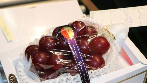 Las Uvas Ruby Roman forma parte de las frutas más caras del mundo.