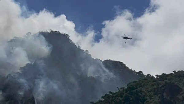Este año en Chiriquí sólo se ha reportada un solo incendio de masa vegetal dentro de áreas protegidas.