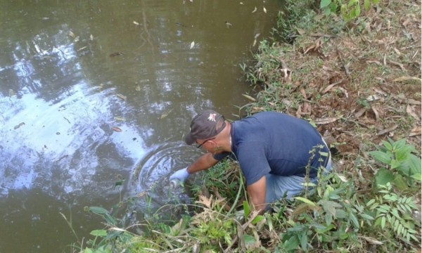 Un científico del  STRI toma muestras de agua dulce en la zona donde se llevó a cabo la investigación en el proyecto Agua Salud, en la Cuenca del Canal de Panamá,