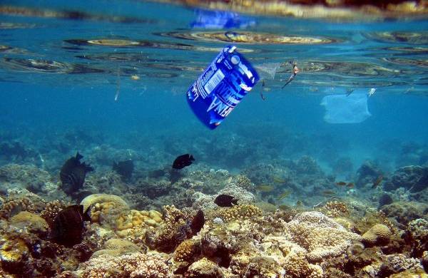 En la imagem de archivo, peces y bolsas de plástico comparten espacio en el arrecife de coral que rodea el complejo turístico Naama Bay, en el mar Rojo, Egipto.