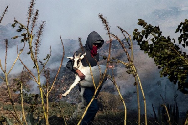 Bomberos luchan por sofocar el "infierno" en California