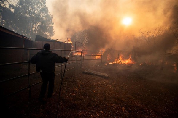 Bomberos luchan por sofocar el "infierno" en California