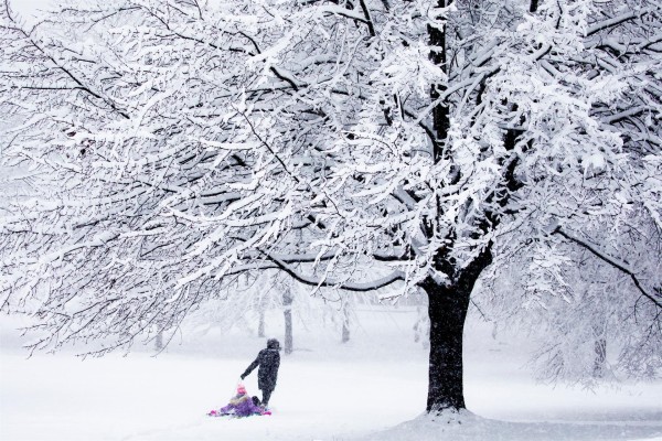 Una fuerte tormenta de nieve paraliza Washington durante horas