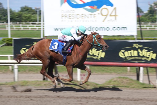 La alazana ‘Sol Princesita’ se presenta con la primera opción del triunfo en la prueba clásica.