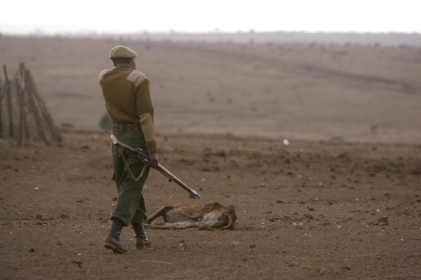 Un guarda pasa al lado de una vaca que murió a causa de la sequía a las afueras de Nairobi, Kenia, en una fotografía de archivo.