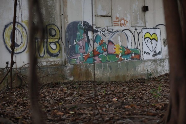 Arte da vida a edificios abandonados en Amador