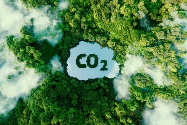 Millicom Tigo, líder en su región por su actuación ante el cambio climático según el CDP
