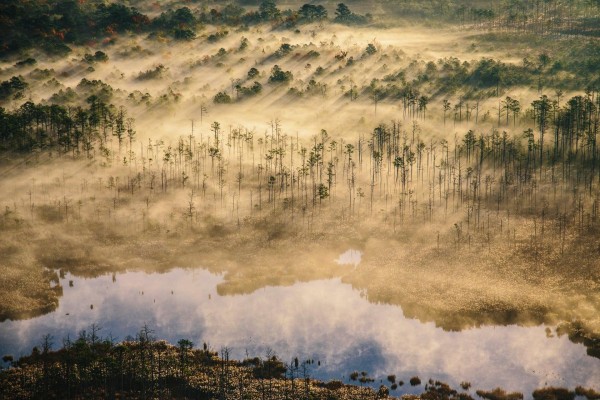 Las consecuencias del cambio climático en el Oriente y Occidente