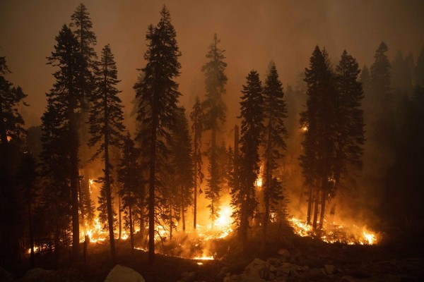 El incendio Caldor en California se acerca al lugar turístico lago Tahoe