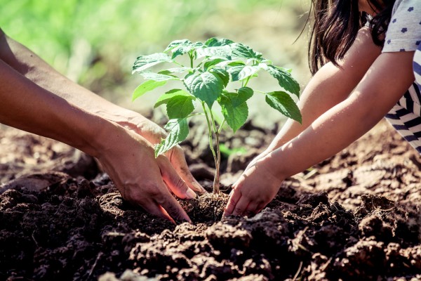 Millicom Tigo, líder en su región por su actuación ante el cambio climático según el CDP