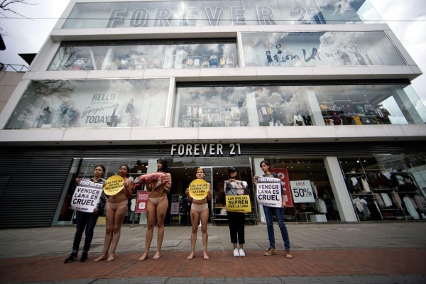 Animalistas protestan en Bogot&aacute;