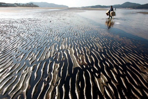 Los oc&eacute;anos y glaciares, term&oacute;metro del cambio clim&aacute;tico