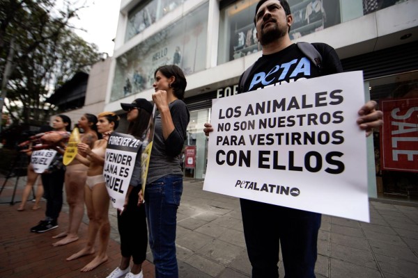 Animalistas protestan en Bogot&aacute;