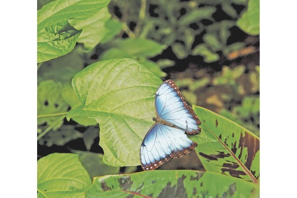 La biodiversidad del lugar cautiva a los visitantes.