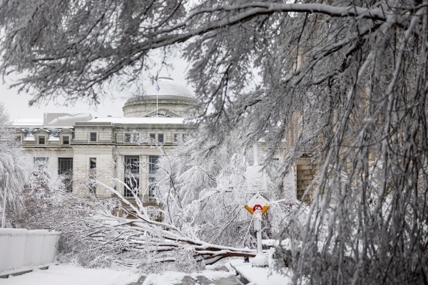 Una fuerte tormenta de nieve paraliza Washington durante horas