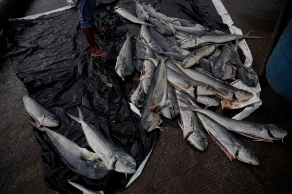 La pesca en el barrio El Chorrillo de Ciudad de Panam&aacute;